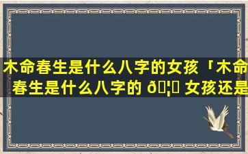 木命春生是什么八字的女孩「木命春生是什么八字的 🦈 女孩还是男孩」